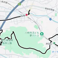 津田山駅 - 緑ヶ丘霊園 - 東高根森林公園 - 久地駅