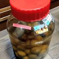 たゆたうて夢の途中の梅酒かな