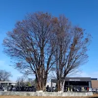 病院に一番広き冬青空