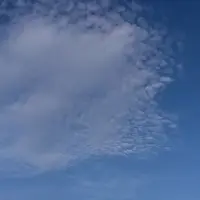 ゆるやかに影の回りし盆踊